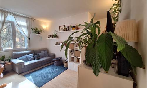 APPARTAMENTO RISTRUTTURATO DUE CAMERE CON GARAGE VIVINO AL CENTRO 